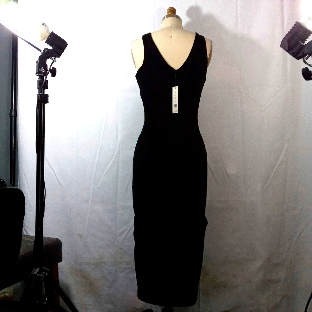 Walter baker gorgeous Rose Dress